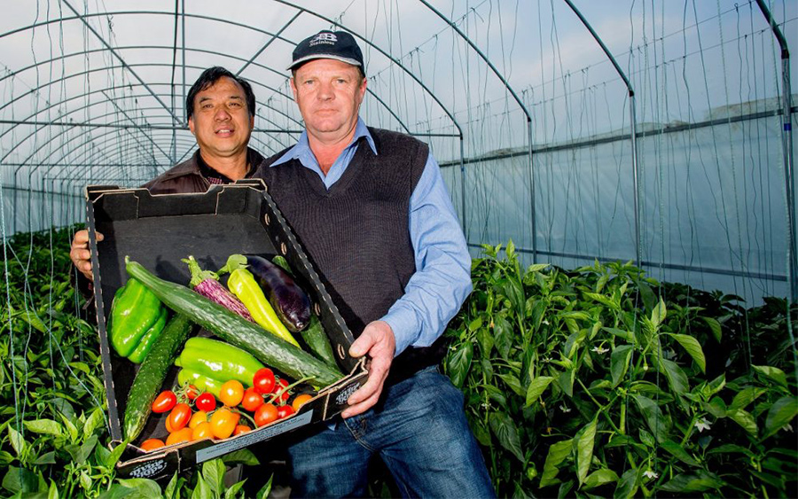 Grants to Help Mid North Coast Researchers and Businesses go Global