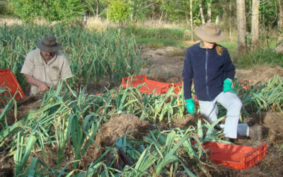 Grant Opportunity for Mid North Coast Farmers