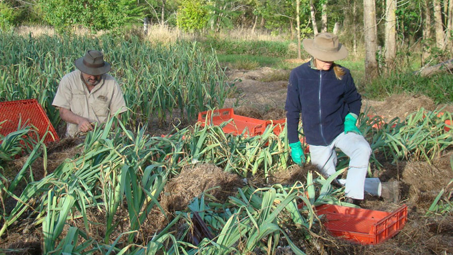 Grant Opportunity for Mid North Coast Farmers