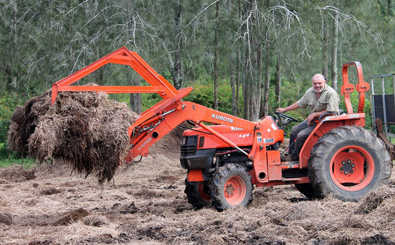 sweet water garlic planting