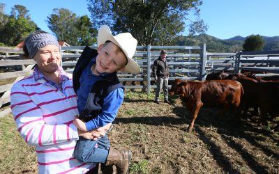 Website opportunity for Macleay Valley farmers